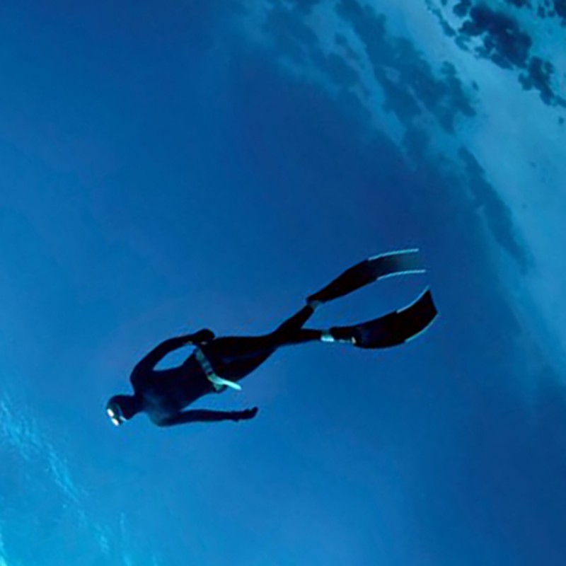 Customs Scuba Diving Fin blade Razor Carbon 